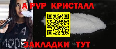 кокс Донской