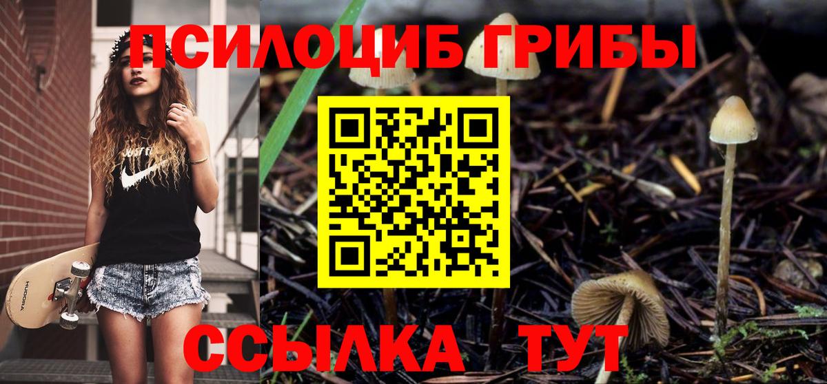 Псилоцибиновые грибы Psilocybine cubensis Кушва